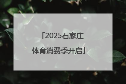 2025石家庄体育消费季开启